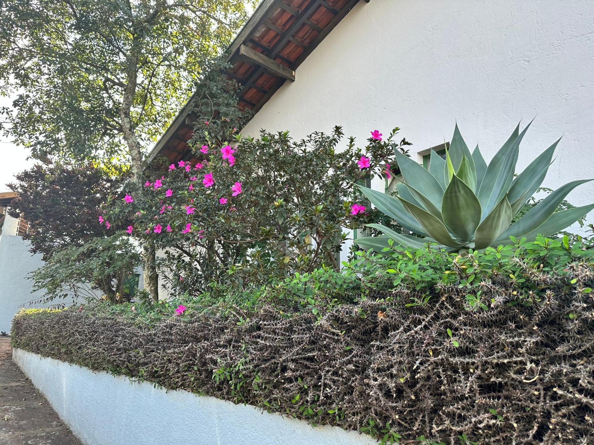 Privado Completo Homestay
